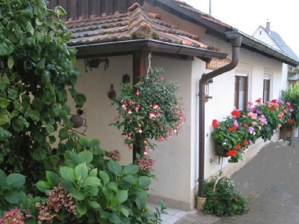 Ferienwohnung Am Blumengaessle มึลไฮม์ ภายนอก รูปภาพ